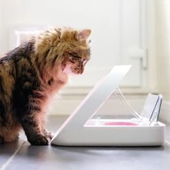 Sureflap Colgantes Identificativos Para Gateras Y Comederos Automáticos -Artículos Mascotas Tienda 65566 surefeed microchip pet feeder hs 01 1