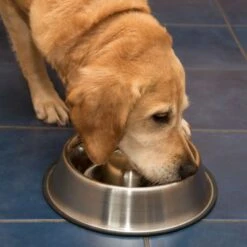 Comedero Antivoracidad De Acero Para Perros -Artículos Mascotas Tienda 66349 antischlingnapf fg 1011 1