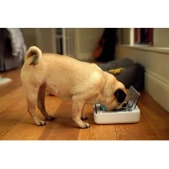 Comedero Hermético SureFeed -Artículos Mascotas Tienda 69308 pla 6 luftdichte futt 3