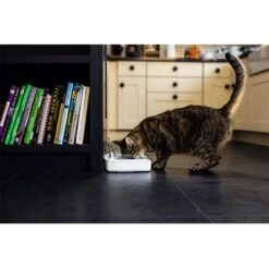 Comedero Hermético SureFeed -Artículos Mascotas Tienda 69308 pla 7 luftdichte futt 5