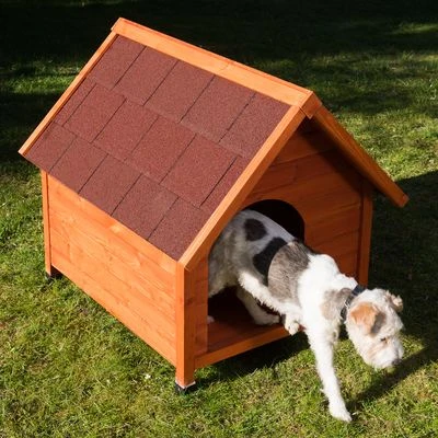 Caseta De Madera Spike Classic 8 Caseta De Madera Spike Classic - Imagen 6