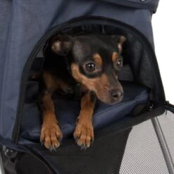 Cochecito Para Mascotas Pequeñas Sporty Pet Stroller -Artículos Mascotas Tienda 71006 sporty pet stroller fg 8107 6