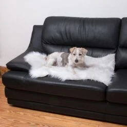 Smartpet Alfombra Para Perros Y Gatos -Artículos Mascotas Tienda 73343 kunstfell wei tier fg 9887 1