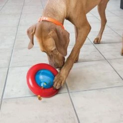 KONG Gyro Juguete Rellenable Para Perros 7 KONG Gyro Juguete Rellenable Para Perros -Artículos Mascotas Tienda 74248 kong gyro 1