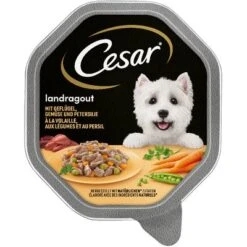 Cesar En Tarrinas 14 X 150 G -Artículos Mascotas Tienda 75301 pla mars cesar landragout mit gemuese hs 01 8