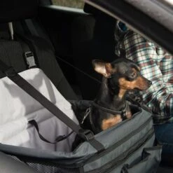 Asiento Para El Coche Booster 19 Asiento Para El Coche Booster -Artículos Mascotas Tienda 78030 autositz booster fg 6387 2