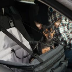 Asiento Para El Coche Booster 20 Asiento Para El Coche Booster -Artículos Mascotas Tienda 78030 autositz booster fg 6388 6
