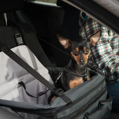 Asiento Para El Coche Booster 9 Asiento Para El Coche Booster - Imagen 7