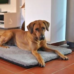 Colchón Ortopédico Pawz & Pepper Aurora -Artículos Mascotas Tienda 78424 petlando pawzpepper hundekissen denver hs 07 9