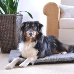 Colchón Ortopédico Pawz & Pepper Aurora -Artículos Mascotas Tienda 78424 petlando pawzpepper hundekissen denver hs 08 6