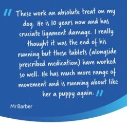 YuMOVE Comprimidos Cuidado Articular Para Perros Senior 22 YuMOVE Comprimidos Cuidado Articular Para Perros Senior -Artículos Mascotas Tienda 7senior 9