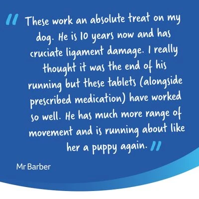 YuMOVE Comprimidos Cuidado Articular Para Perros Senior 12 YuMOVE Comprimidos Cuidado Articular Para Perros Senior - Imagen 10