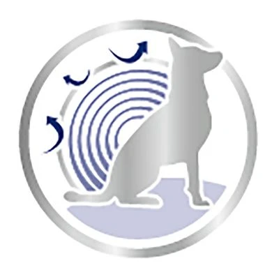 Royal Canin Maxi Ageing En Salsa Para Perros 6 Royal Canin Maxi Ageing En Salsa Para Perros - Imagen 4