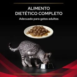 Purina Pro Plan Feline DM ST/OX Diabetes Management Veterinary Diets Con Pollo -Artículos Mascotas Tienda 8445290046048 4 textura 7