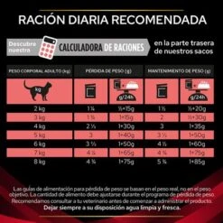 Purina Pro Plan Feline DM ST/OX Diabetes Management Veterinary Diets Con Pollo -Artículos Mascotas Tienda 8445290046048 6 feeding guidelines 2