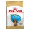 Royal Canin Teckel Puppy / Junior 1 Royal Canin Teckel Puppy / Junior -Artículos Mascotas Tienda 84603 pla royalcanin puppyhund dachshund 6