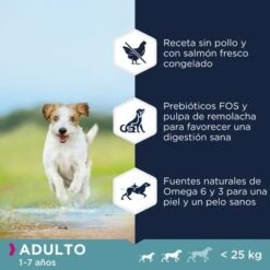 Eukanuba Grain Free Adult Razas Pequeñas Y Medianas Con Salmón -Artículos Mascotas Tienda 87102551847531 3
