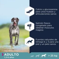 Eukanuba Grain Free Adult Razas Grandes Con Salmón 12 Eukanuba Grain Free Adult Razas Grandes Con Salmón -Artículos Mascotas Tienda 87102551847771 2 6