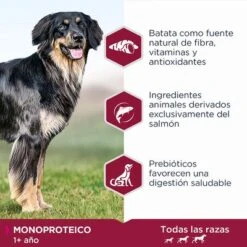 Eukanuba Daily Care Adult Monoproteico Con Salmón 9 Eukanuba Daily Care Adult Monoproteico Con Salmón -Artículos Mascotas Tienda 8710255187822 2 4