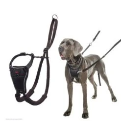 Halti Arnés Antitirada Non-Pull Harness Para Perros -Artículos Mascotas Tienda 92496 92497 halti front control trainingsgeschirr hs 05 0