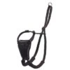 Halti Arnés Antitirada Non-Pull Harness Para Perros -Artículos Mascotas Tienda 92497 pla coa halti no pull harness hs 02 4
