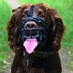 Bozal Baskerville Ultra 2.0 Con Cierres De Plástico -Artículos Mascotas Tienda 94512 maulkorb baskerville ultra hs15 6