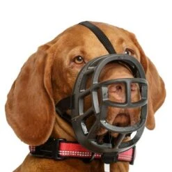 Bozal Baskerville Ultra 2.0 Con Cierres De Plástico -Artículos Mascotas Tienda 94513 maulkorb baskerville ultra hs7 2