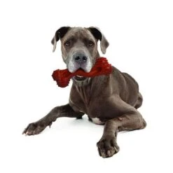 Hueso Nylabone Dura Chew Monster Aroma A Bisonte -Artículos Mascotas Tienda 94898 nylabone durra chew monster hs 05 1