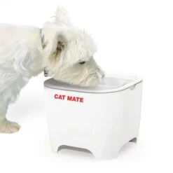 Bebedero Fuente Cat Mate Concha De Pet Mate -Artículos Mascotas Tienda 95720 cat mate shell pet fountain hs 01 7