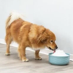 Bebedero Fuente Trixie Vital Falls De Cerámica -Artículos Mascotas Tienda 98396 trixie trinkbrunnen vital falls keramik hs 09 2