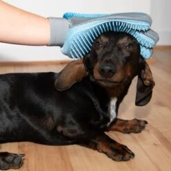 Guante De Doble Cara Para Pelaje De Mascotas 31 Guante De Doble Cara Para Pelaje De Mascotas -ArtÃculos Mascotas Tienda 98728 fellpflege handschuh fg 9972 3