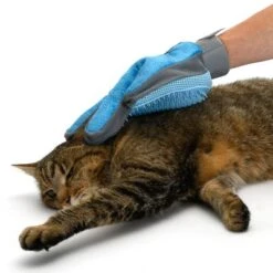 Guante De Doble Cara Para Pelaje De Mascotas 29 Guante De Doble Cara Para Pelaje De Mascotas -ArtÃculos Mascotas Tienda 98728 katze fg 5671 5