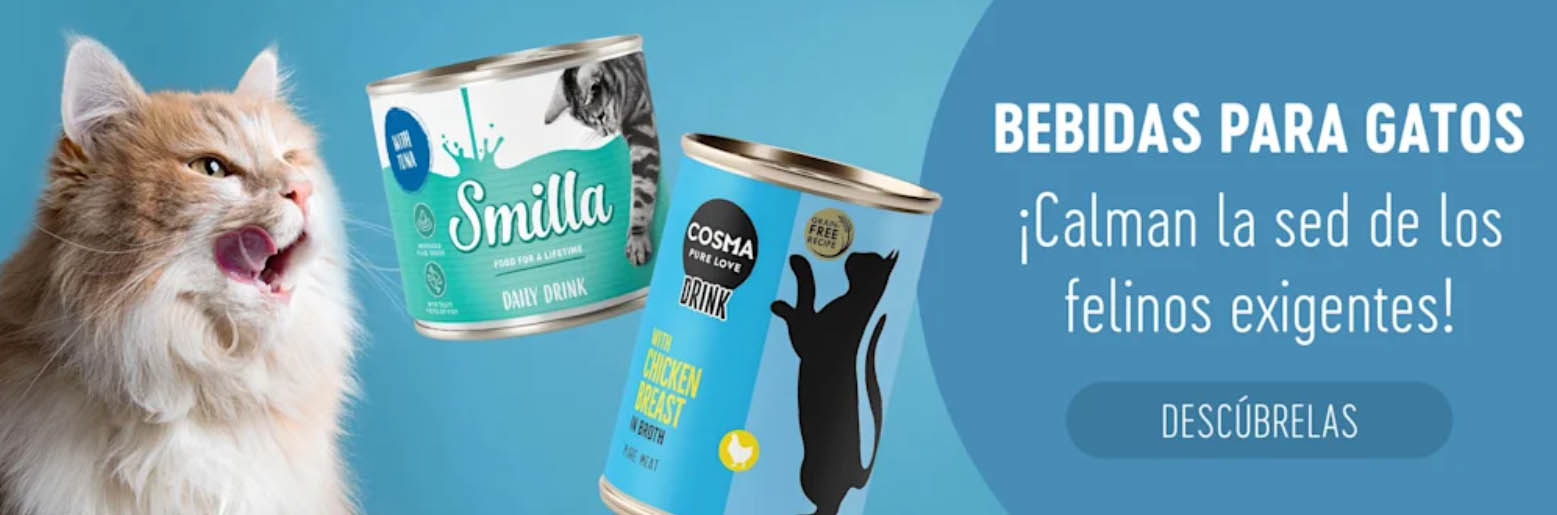 Artículos Mascotas Tienda 3 Artículos Mascotas Tienda -Artículos Mascotas Tienda E4545