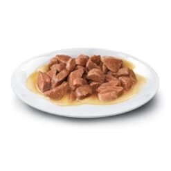 Concept For Life All Cats 10+ En Salsa 7 Concept For Life All Cats 10+ En Salsa -Artículos Mascotas Tienda all cats 10 sauce shop 6