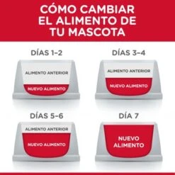 Hill's Science Plan Hill's Mature Adult 7+ Medium Science Plan Con Pollo -Artículos Mascotas Tienda atf6 604287 feeding transition 5