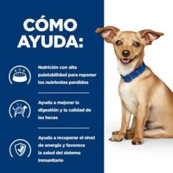Hill's I/d Prescription Diet Digestive Care Estofado Para Perros -Artículos Mascotas Tienda atf 606353 how it helps 1