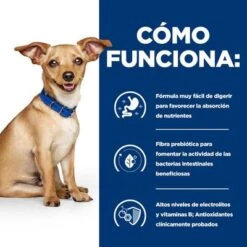Hill's I/d Prescription Diet Digestive Care Estofado Para Perros -Artículos Mascotas Tienda atf 606353 how it works 2