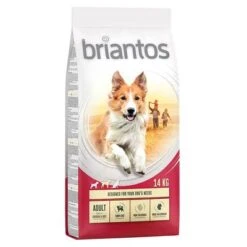 Briantos Pienso Para Perros - Pack Ahorro -Artículos Mascotas Tienda briantos adult chickenrice 14kg 1000x1000 9