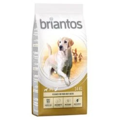 Briantos Pienso Para Perros - Pack Ahorro -Artículos Mascotas Tienda briantos adult maxi chickenrice 14kg 1000x1000 2