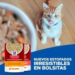 Hill's Science Plan Hill's Adult Healthy Cuisine Con Pollo Y Salmón Para Gatos -Artículos Mascotas Tienda cat key visual 9