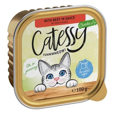 Catessy En Tarrinas 64 X 100 G - Pack Mixto 5 Catessy En Tarrinas 64 X 100 G - Pack Mixto - Imagen 3