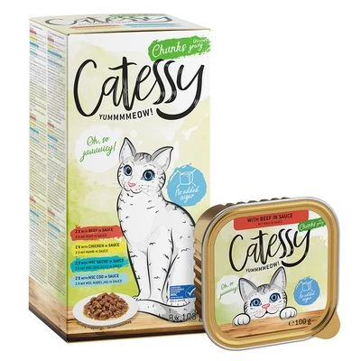 Catessy En Tarrinas 64 X 100 G - Pack Mixto 4 Catessy En Tarrinas 64 X 100 G - Pack Mixto - Imagen 2