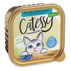 Catessy En Tarrinas 32 X 100 G - Pack Mixto 32 Catessy En Tarrinas 32 X 100 G - Pack Mixto -Artículos Mascotas Tienda catessy chunks saitheinsauce 100g 1000x1000 8
