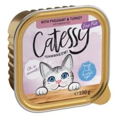 Catessy En Tarrinas 64 X 100 G - Pack Mixto 26 Catessy En Tarrinas 64 X 100 G - Pack Mixto -Artículos Mascotas Tienda catessy finepate pheasant turkey 100g 1000x1000 0 1