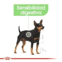 Royal Canin CCN Digestive Care Mousse Para Perros -Artículos Mascotas Tienda ccn 3 3