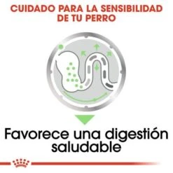 Royal Canin CCN Digestive Care Mousse Para Perros -Artículos Mascotas Tienda ccn 9 1
