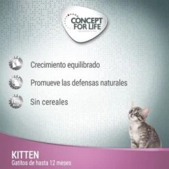 Concept For Life Kitten Sin Cereales Con Salmón En Salsa -Artículos Mascotas Tienda cfl cat gf board kitten 9