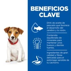 Hill's Science Plan Hill's Puppy <1 Healthy Development Small & Mini Science Plan Con Pollo -Artículos Mascotas Tienda es dog puppy s m chicken transition benefits 2