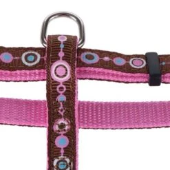 Set Hunter: Arnés + Correa Para Cachorros Y Gatos -Artículos Mascotas Tienda geschirre 115 8