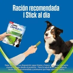 PURINA Dentalife Active Fresh Snacks Dentales Para Perros Medianos 19 PURINA Dentalife Active Fresh Snacks Dentales Para Perros Medianos -Artículos Mascotas Tienda m 2 5